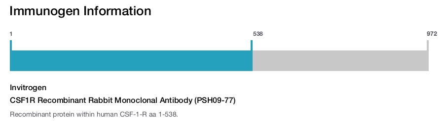 CSF1R Recombinant Rabbit Monoclonal Antibody (PSH09-77)