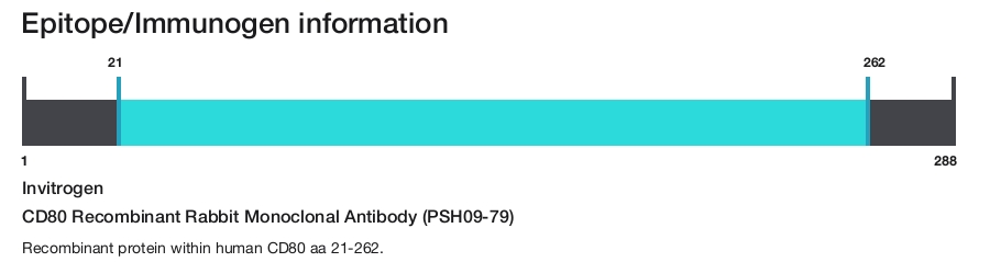 CD80 Recombinant Rabbit Monoclonal Antibody (PSH09-79)