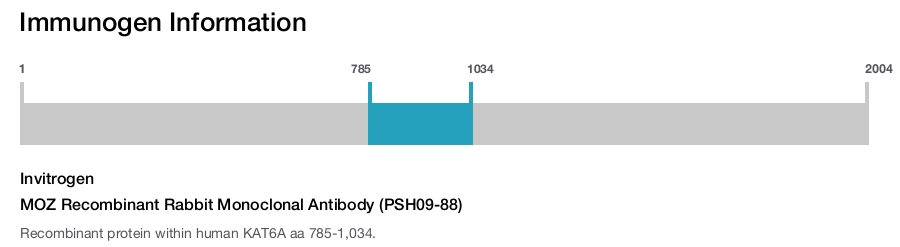 MOZ Recombinant Rabbit Monoclonal Antibody (PSH09-88)