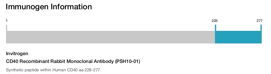 CD40 Recombinant Rabbit Monoclonal Antibody (PSH10-01)