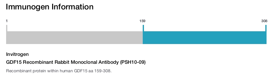 GDF15 Recombinant Rabbit Monoclonal Antibody (PSH10-09)