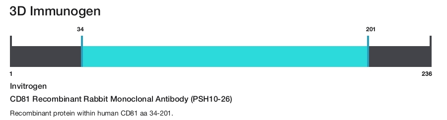 CD81 Recombinant Rabbit Monoclonal Antibody (PSH10-26)