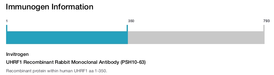 UHRF1 Recombinant Rabbit Monoclonal Antibody (PSH10-63)