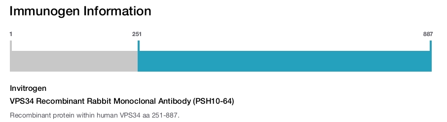 VPS34 Recombinant Rabbit Monoclonal Antibody (PSH10-64)