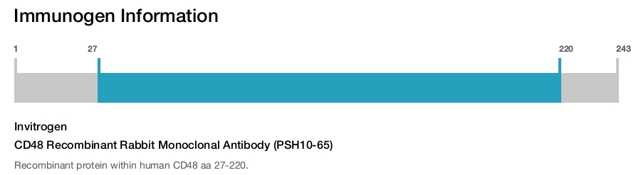 CD48 Recombinant Rabbit Monoclonal Antibody (PSH10-65)