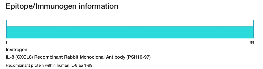 IL-8 (CXCL8) Recombinant Rabbit Monoclonal Antibody (PSH10-97)