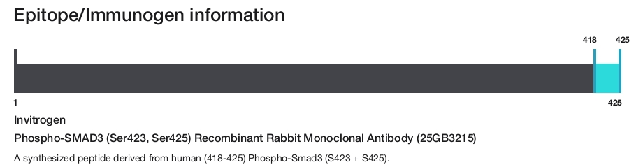 Phospho-SMAD3 (Ser423, Ser425) Recombinant Rabbit Monoclonal Antibody (25GB3215)