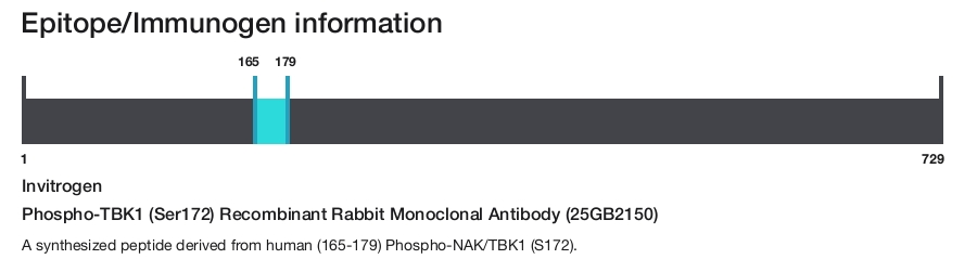Phospho-TBK1 (Ser172) Recombinant Rabbit Monoclonal Antibody (25GB2150)