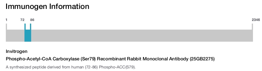 Phospho-Acetyl-CoA Carboxylase (Ser79) Recombinant Rabbit Monoclonal Antibody (25GB2275)