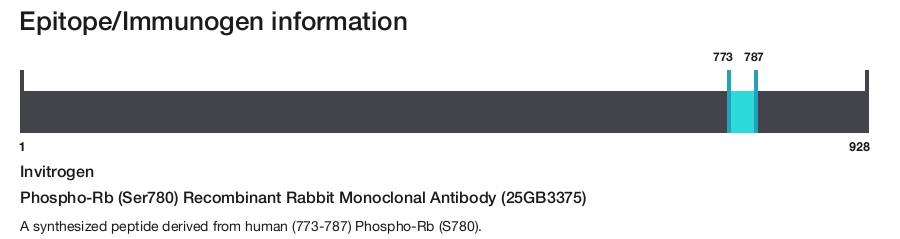 Phospho-Rb (Ser780) Recombinant Rabbit Monoclonal Antibody (25GB3375)