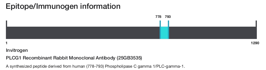 PLCG1 Recombinant Rabbit Monoclonal Antibody (25GB3535)