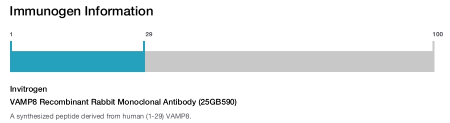 VAMP8 Recombinant Rabbit Monoclonal Antibody (25GB590)