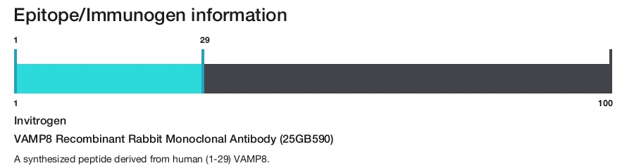 VAMP8 Recombinant Rabbit Monoclonal Antibody (25GB590)