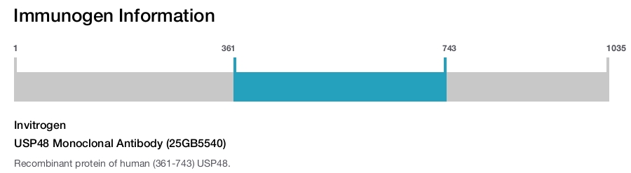USP48 Monoclonal Antibody (25GB5540)