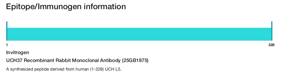 UCH37 Recombinant Rabbit Monoclonal Antibody (25GB1875)