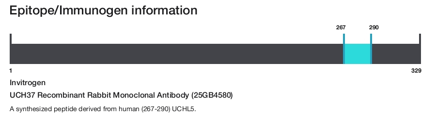 UCH37 Recombinant Rabbit Monoclonal Antibody (25GB4580)