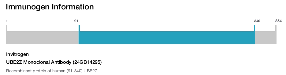 UBE2Z Monoclonal Antibody (24GB14295)