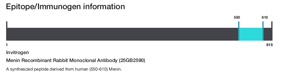 Menin Recombinant Rabbit Monoclonal Antibody (25GB2590)