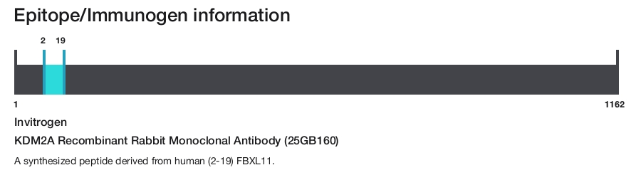KDM2A Recombinant Rabbit Monoclonal Antibody (25GB160)