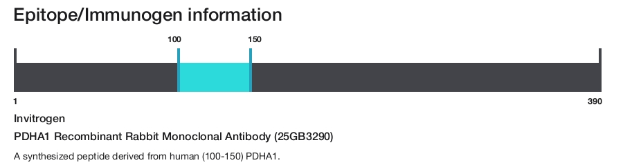 PDHA1 Recombinant Rabbit Monoclonal Antibody (25GB3290)