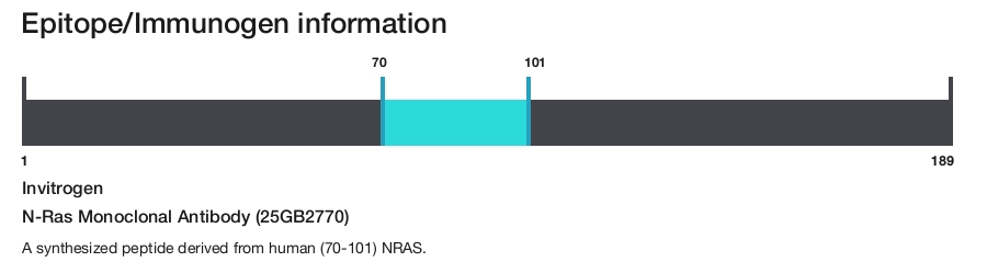 N-Ras Monoclonal Antibody (25GB2770)