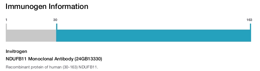 NDUFB11 Monoclonal Antibody (24GB13330)