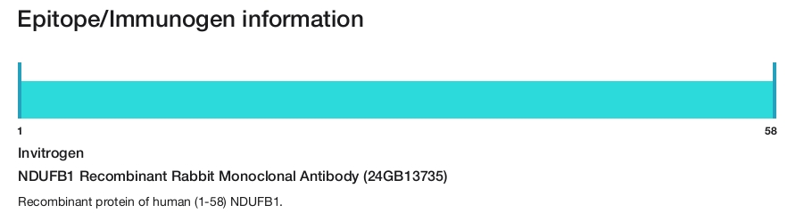 NDUFB1 Recombinant Rabbit Monoclonal Antibody (24GB13735)