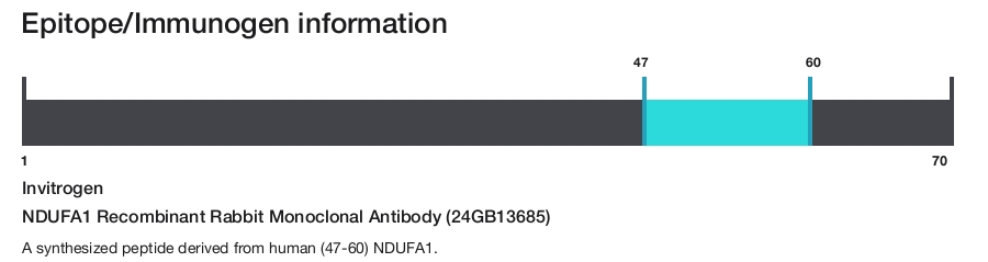 NDUFA1 Recombinant Rabbit Monoclonal Antibody (24GB13685)