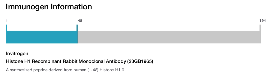 Histone H1 Recombinant Rabbit Monoclonal Antibody (23GB1965)