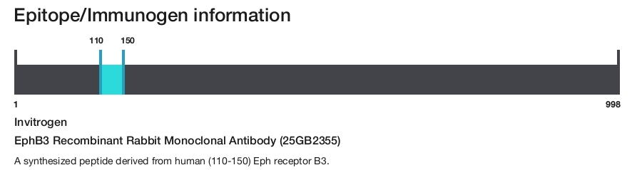 EphB3 Recombinant Rabbit Monoclonal Antibody (25GB2355)