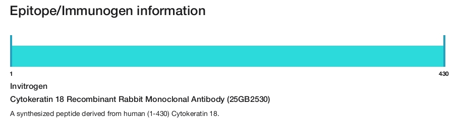 Cytokeratin 18 Recombinant Rabbit Monoclonal Antibody (25GB2530)