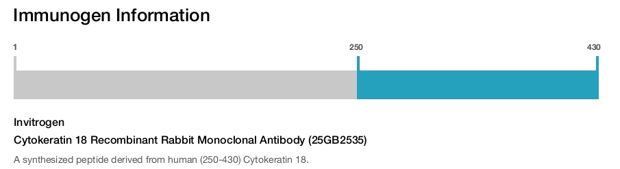 Cytokeratin 18 Recombinant Rabbit Monoclonal Antibody (25GB2535)