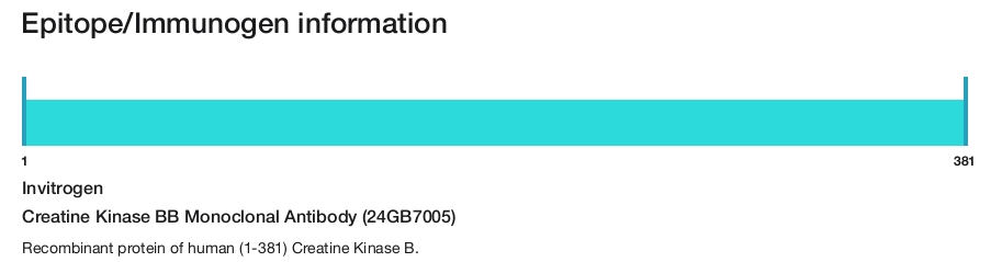 Creatine Kinase BB Monoclonal Antibody (24GB7005)