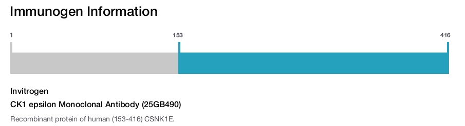 CK1 epsilon Monoclonal Antibody (25GB490)