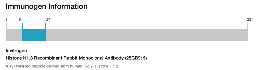 Histone H1.3 Recombinant Rabbit Monoclonal Antibody (25GB915)