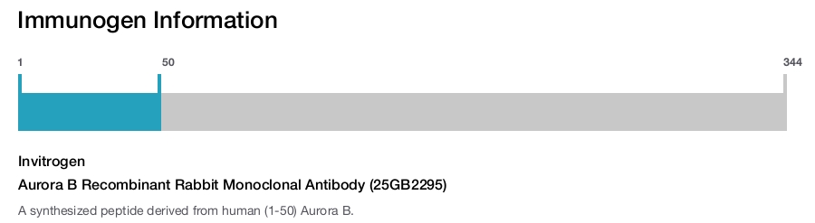Aurora B Recombinant Rabbit Monoclonal Antibody (25GB2295)