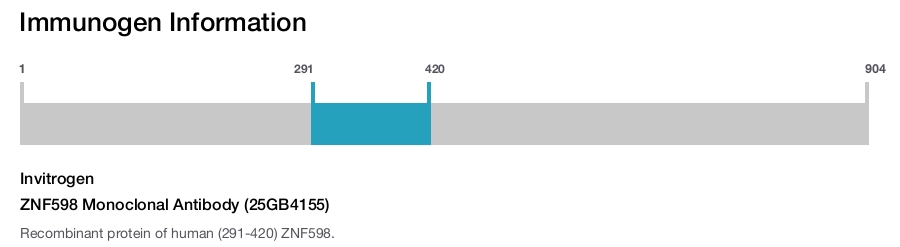 ZNF598 Monoclonal Antibody (25GB4155)