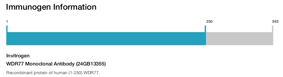 WDR77 Monoclonal Antibody (24GB13355)
