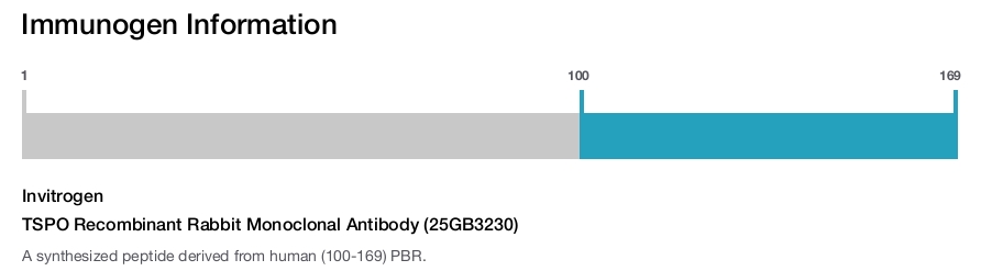 TSPO Recombinant Rabbit Monoclonal Antibody (25GB3230)
