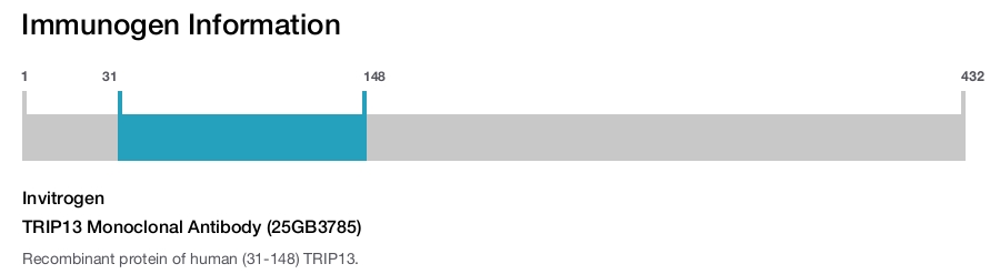 TRIP13 Monoclonal Antibody (25GB3785)