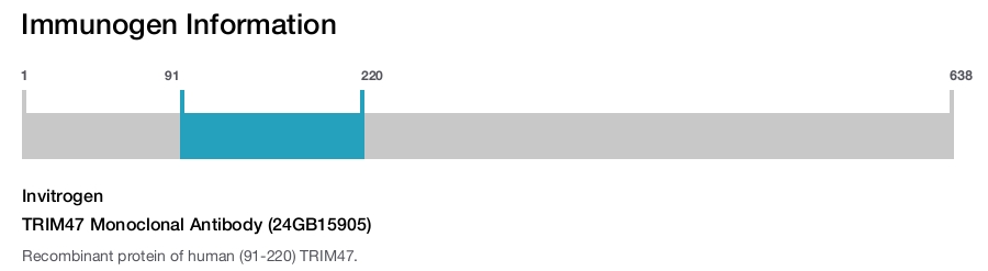 TRIM47 Monoclonal Antibody (24GB15905)