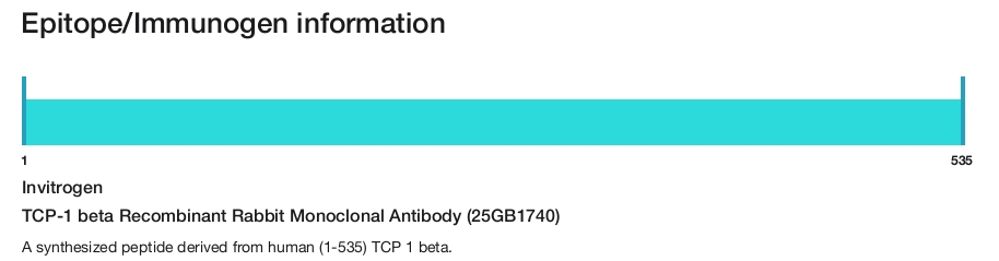 TCP-1 beta Recombinant Rabbit Monoclonal Antibody (25GB1740)