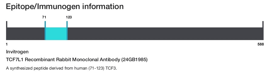 TCF7L1 Recombinant Rabbit Monoclonal Antibody (24GB1985)