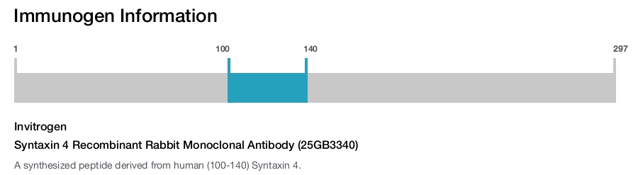 Syntaxin 4 Recombinant Rabbit Monoclonal Antibody (25GB3340)