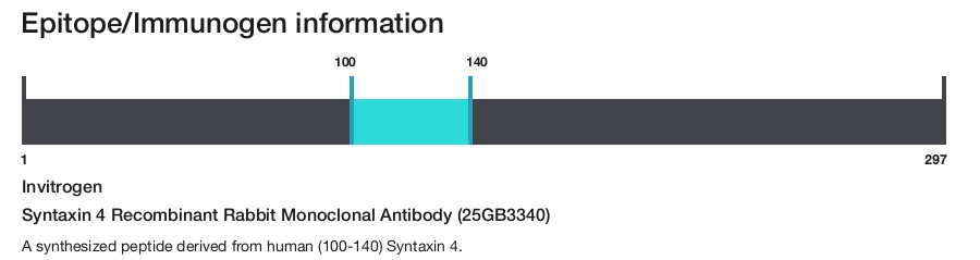 Syntaxin 4 Recombinant Rabbit Monoclonal Antibody (25GB3340)