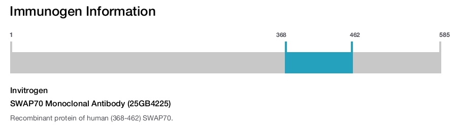 SWAP70 Monoclonal Antibody (25GB4225)