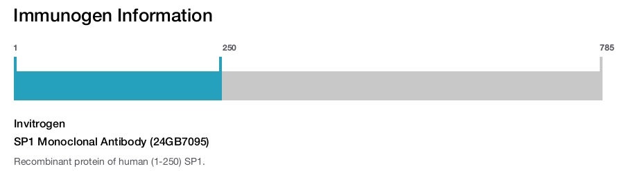 SP1 Monoclonal Antibody (24GB7095)