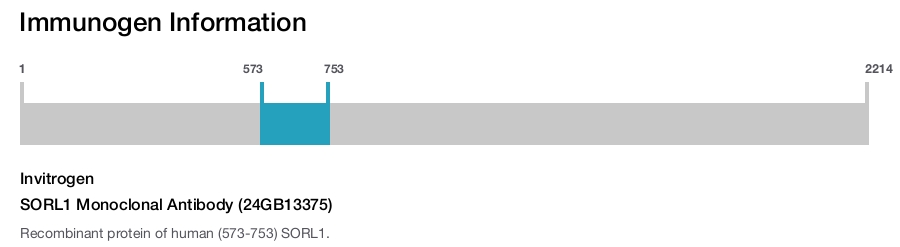 SORL1 Monoclonal Antibody (24GB13375)