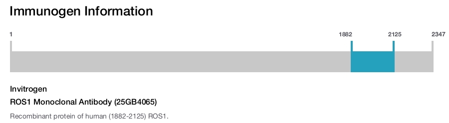 ROS1 Monoclonal Antibody (25GB4065)
