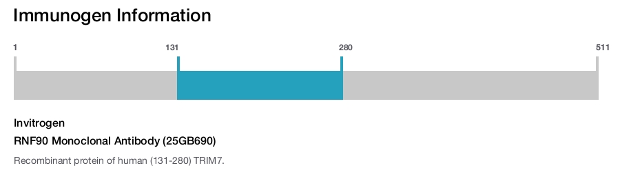 RNF90 Monoclonal Antibody (25GB690)